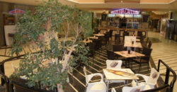 GCROR2414288 – Comercial en Negocio-Málaga