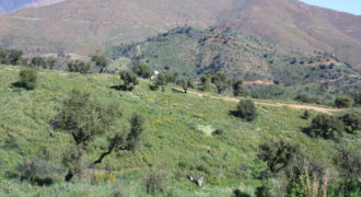 GCROR127293 – Terreno en Residencial-Málaga