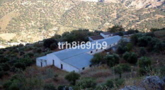 GCROR199057 – Comercial en Otro-Málaga