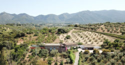 Villa Finca en Alhaurín de la Torre – Málaga – GCROR4359676