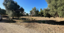 Terreno Residencial en Hacienda Las Chapas – Málaga – GCROR4390084