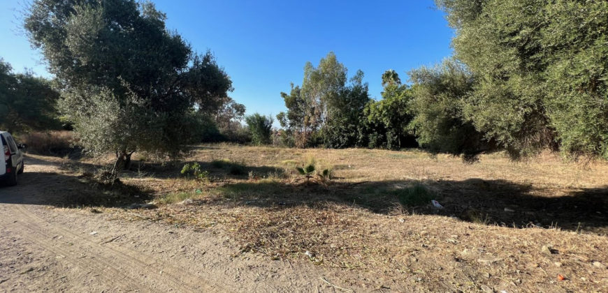 Terreno Residencial en Hacienda Las Chapas – Málaga – GCROR4390084
